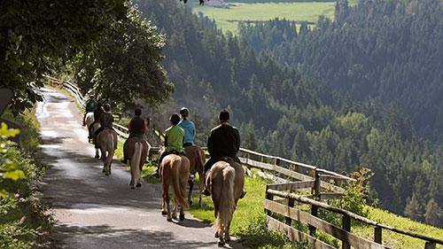 Reiten in Hafling bei Meran Reiten in Hafling bei Meran