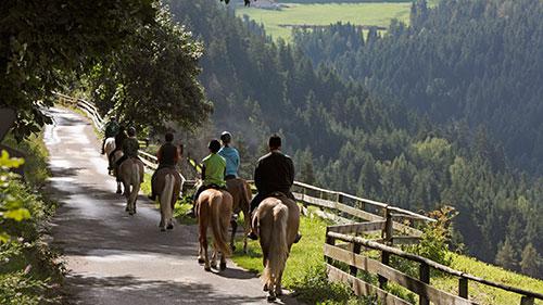 Reiten in Hafling bei Meran