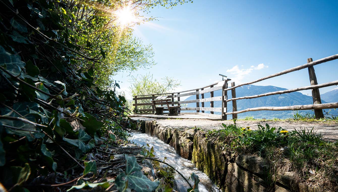 Waalwege, i sentieri lungo la roggia a Scena presso Merano